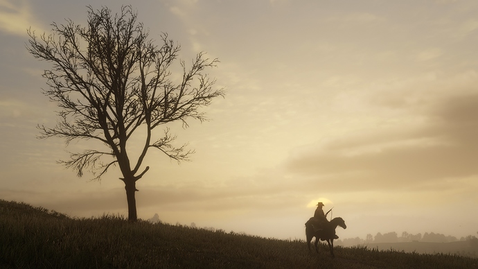 RDR2_Screenshot-062